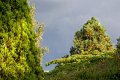 0076Arboretum Vallee aux loups